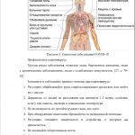 Иллюстрация №1: Тема коронавируса в русском интернет-сегменте (Курсовые работы - Русский язык).